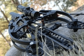 crossbow maintenance guide